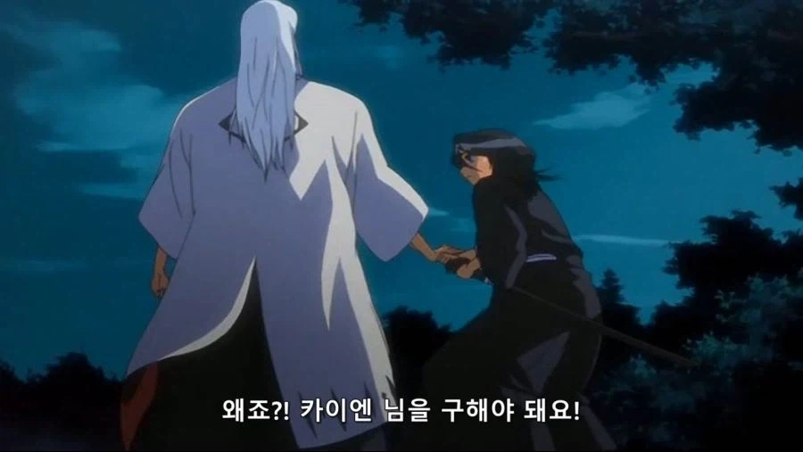 블리치)에서 긍지란?_2.webp
