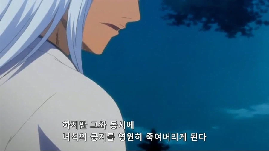 블리치)에서 긍지란?_5.webp