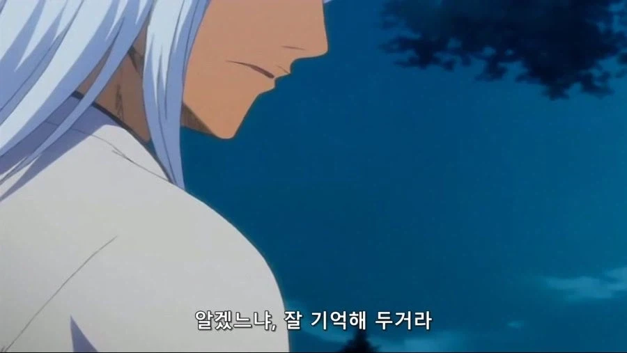 블리치)에서 긍지란?_8.webp