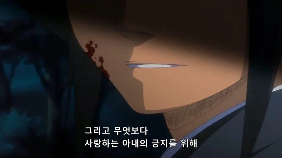 블리치)에서 긍지란?_14.webp