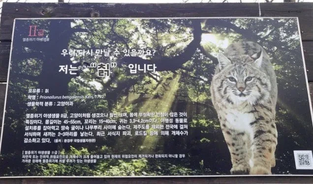 의외로 합성이었던 고전 짤_1.webp