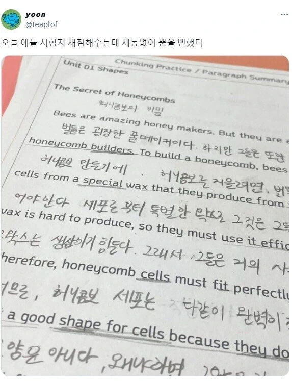 학원 채점하다가 보면 나오는 신박한 오답들_9.webp
