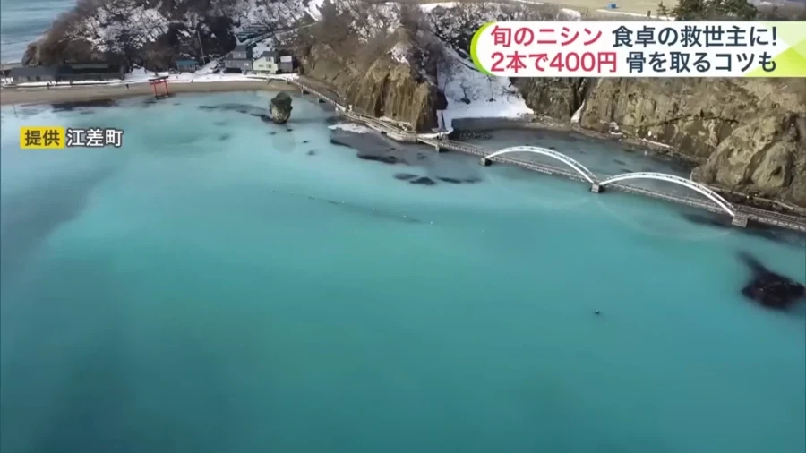 청어정액으로 물든 바다.jpg_2.webp