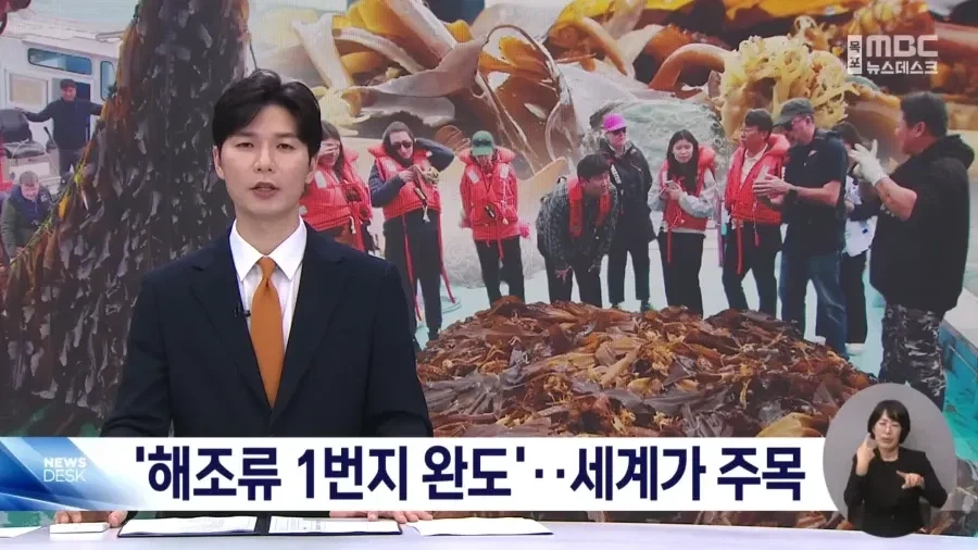 전세계가 주목하는 한국섬_1.webp