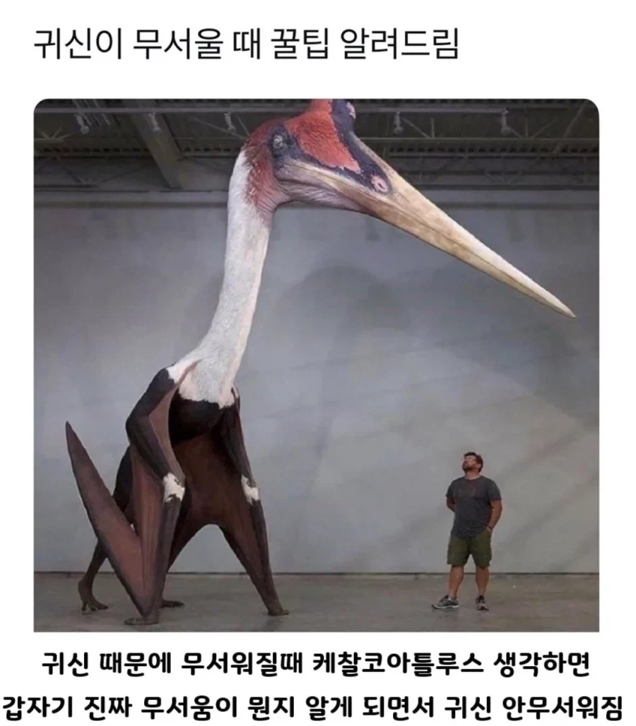 귀신이 무서울 때 꿀팁.jpg_1.webp