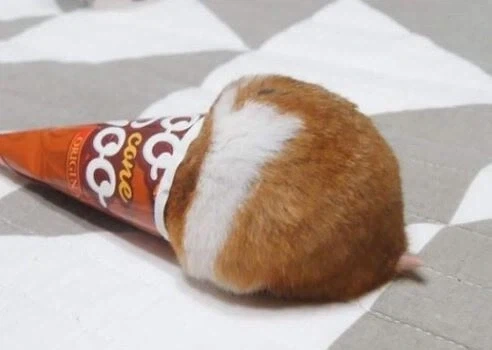 빵댕이가 검열이라니.._1.webp