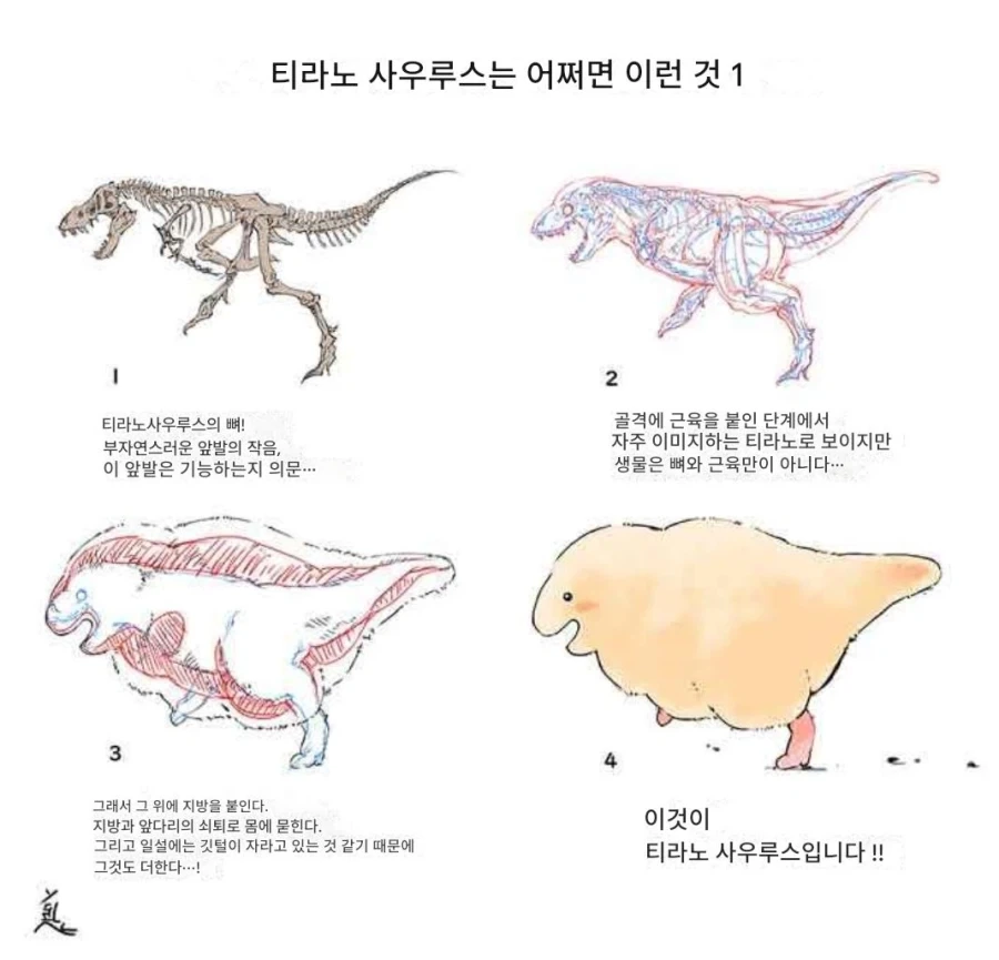 솔직히 곰 복원사업보다 더 중요한게 있음_1.webp
