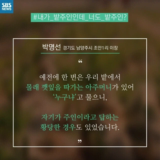"한국인은 남이 두고간 물건 안훔친다" 대표 이미지