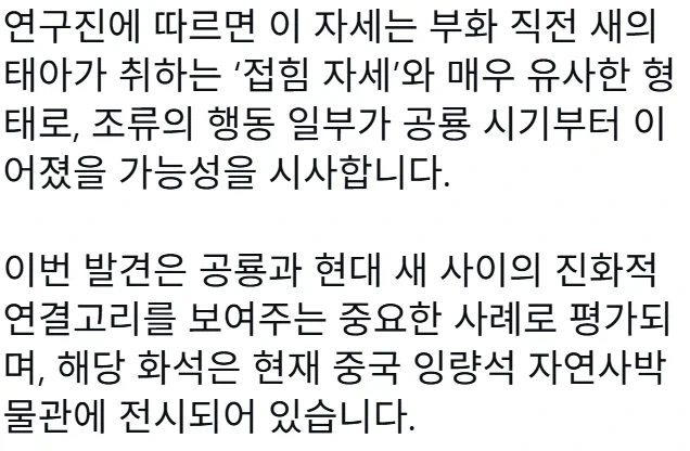 6600만 년 전 공룡 태아 화석 발견.jpg_3.webp