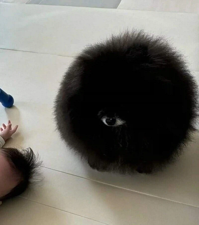무시무시한 외눈박이 생명체_1.webp