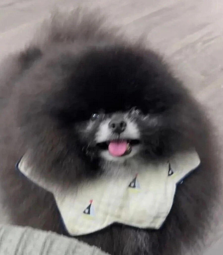 무시무시한 외눈박이 생명체_3.webp