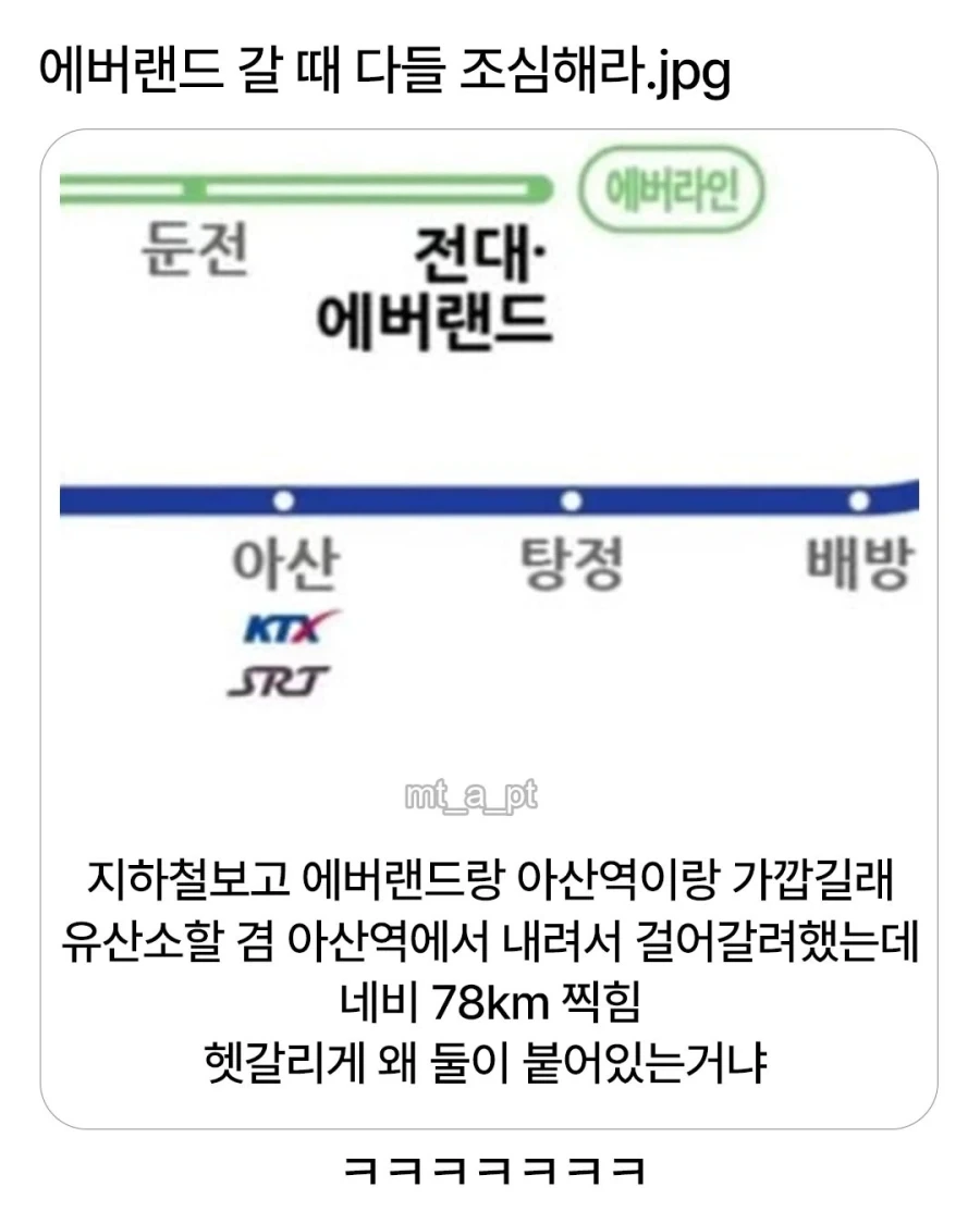 에버랜드 갈 때 다들 조심해라_1.webp