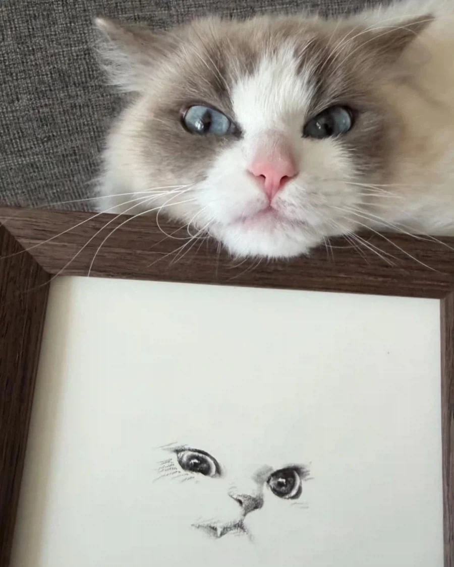 고양이 그림_5.webp