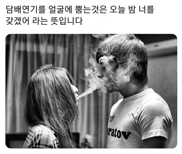 여자가 담배연기를 얼굴에 뿜는것의 의미.jpg_1.webp