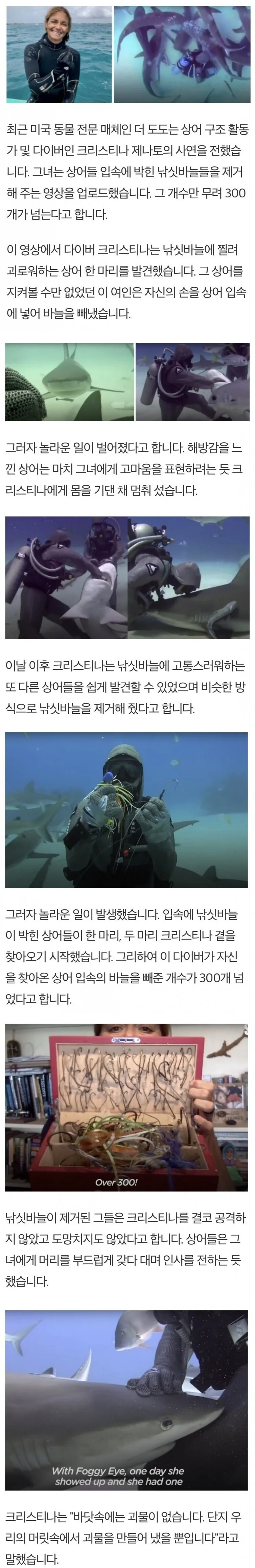 상어 입안의 낚싯바늘을 빼주는 다이버_1.jpeg