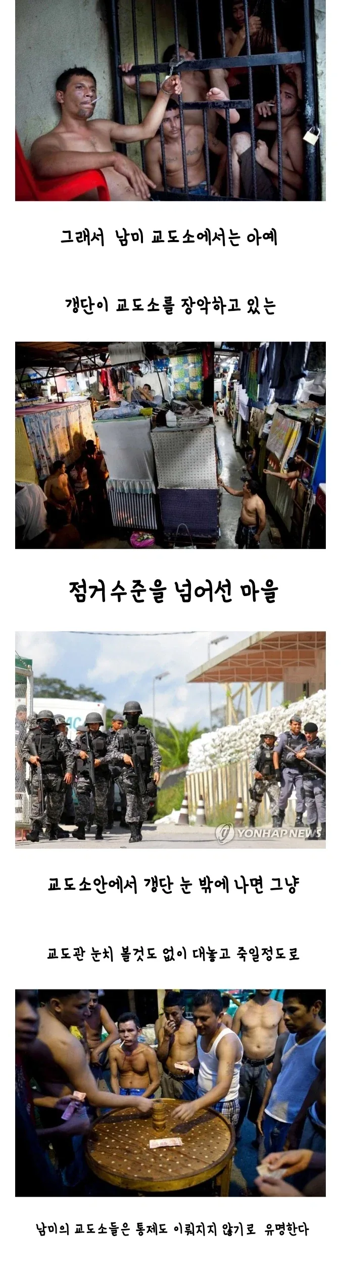 남미 교도소 생태계.jpg_3.webp