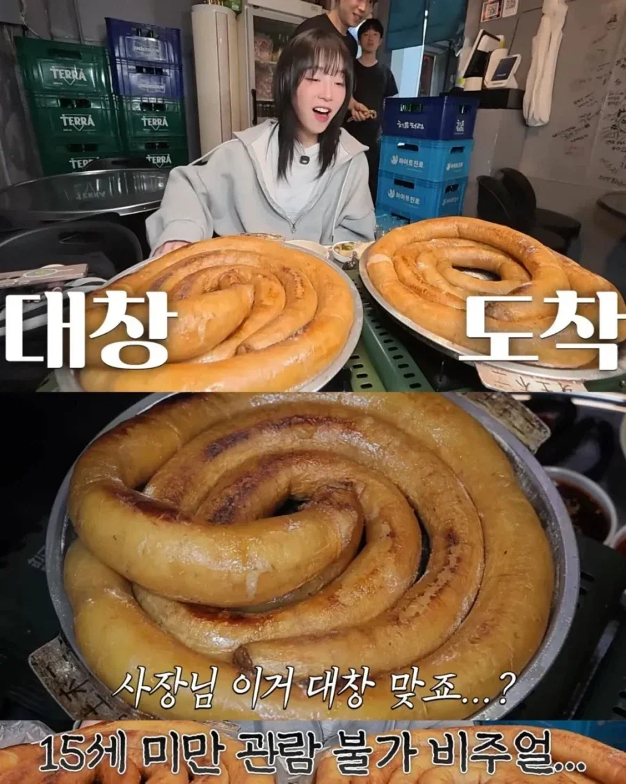 이제 대창은 한줄정도 밖에 못먹는 쯔양_3.webp