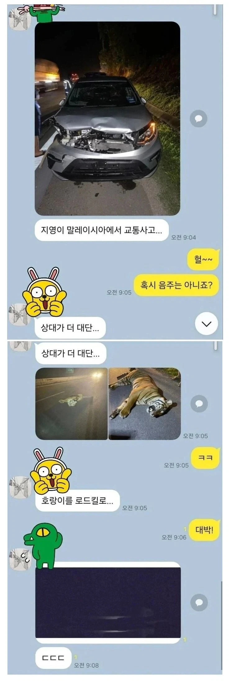 말레이시아에서 동물 로드킬_1.webp