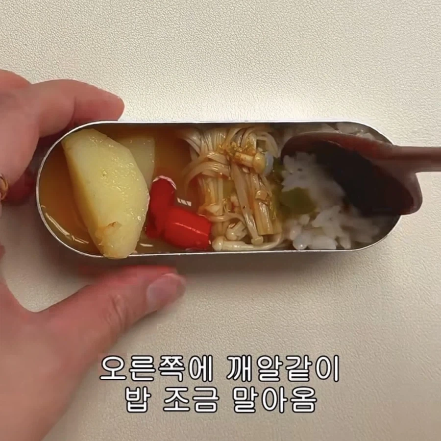 어느 인스타 소식좌의 식사량.jpg_3.webp