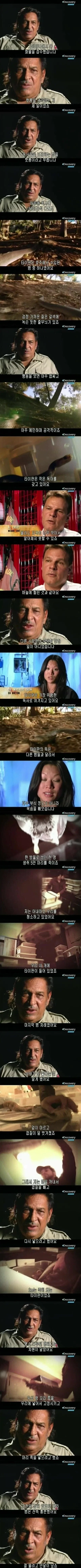 [극혐] 독사한테 물렸는데도 24시간 넘게 해독제 없이 버텨야 했던 이유.jpg_1.webp