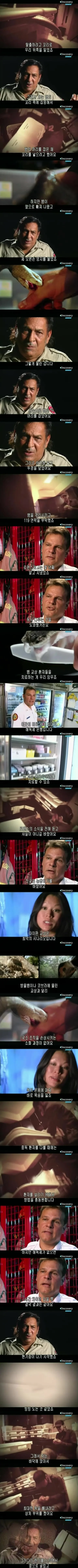 [극혐] 독사한테 물렸는데도 24시간 넘게 해독제 없이 버텨야 했던 이유.jpg_2.jpg