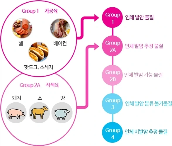 고기가 1급 발암 물질이라고 해서 심하게 겁먹을 필요가 없는 이유.jpg_1.webp