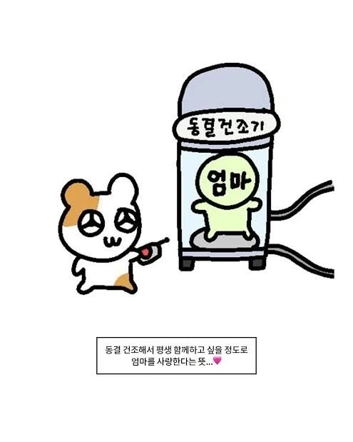 엄마 동결건조 시키고 싶은 고3_3.webp