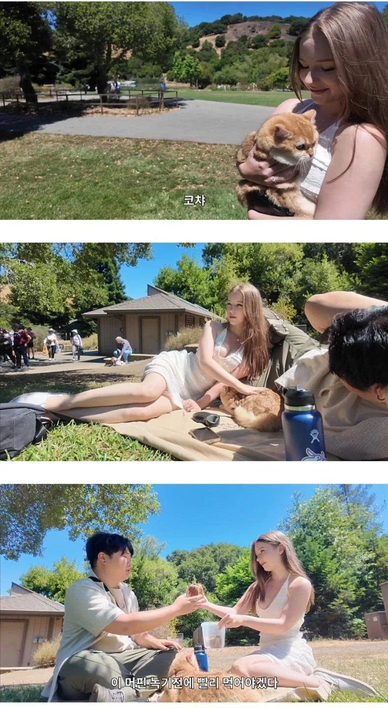 자꾸 악플이 달리고 있다는 영상_1.webp