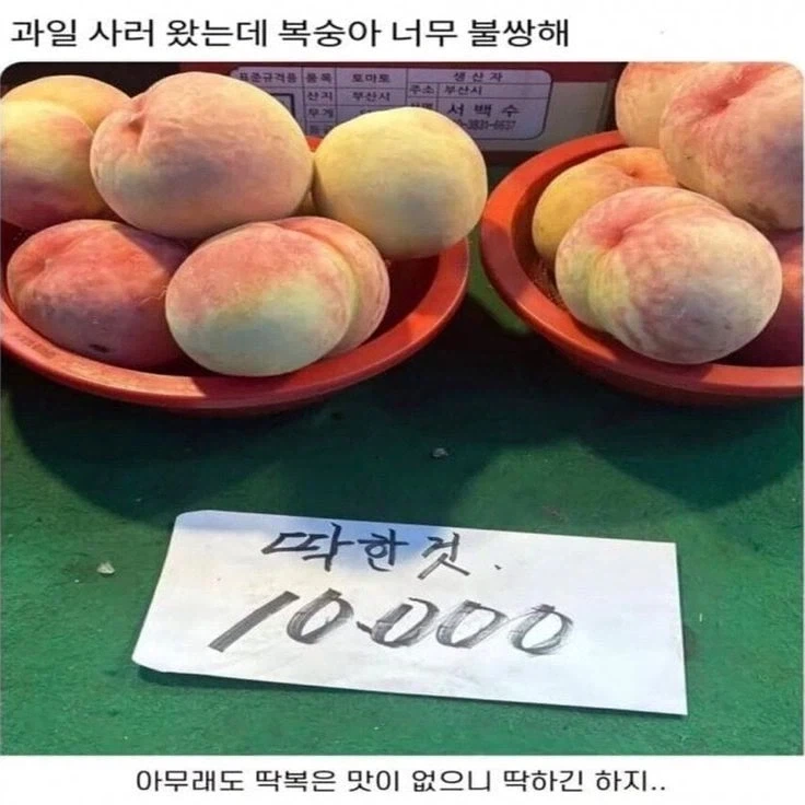 과일 사러 왔는데 복숭아가 너무 불쌍해.jpg_1.webp