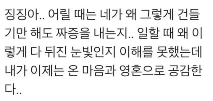 어른이 되면 이해하게 된다는 캐릭터_2.webp