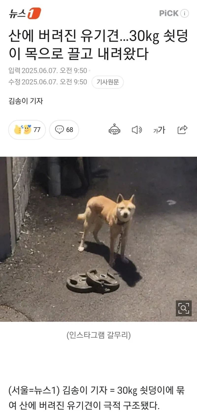 "날 죽이지 못하는 고통은 날 더 강하게 만들 뿐이다" 대표 이미지