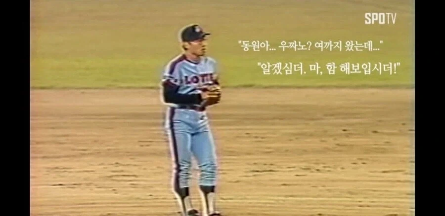 알고보면 더 황당하고 어처구니 없는