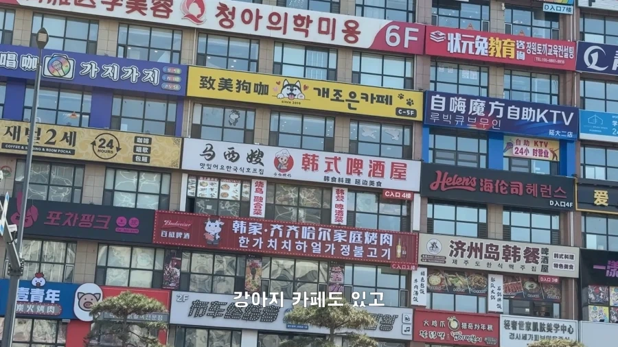 AI로 만든 것 같다는 중국 연변의 번화가.jpg_16.webp