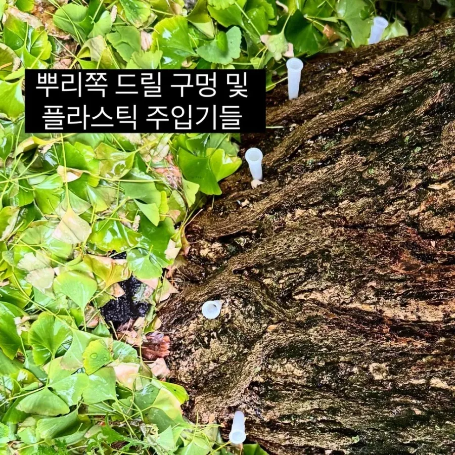 미친 짓한 동네 미술관..._3.webp