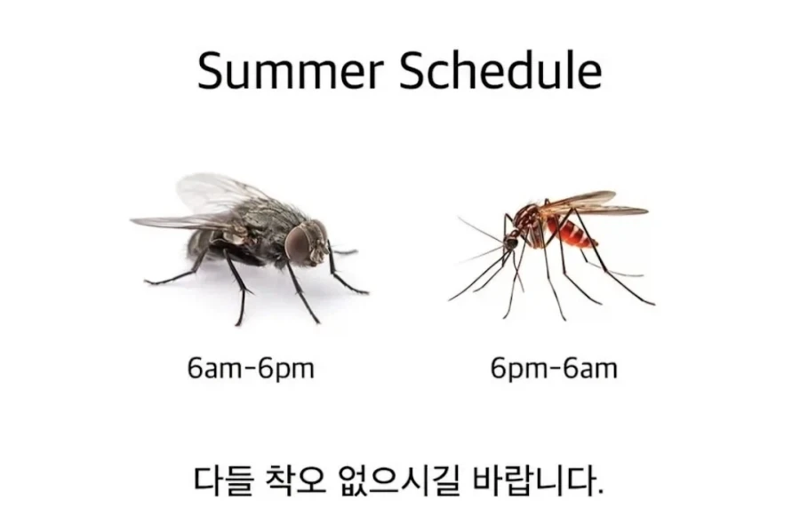 여름 근무시간표 나왔습니다_1.webp