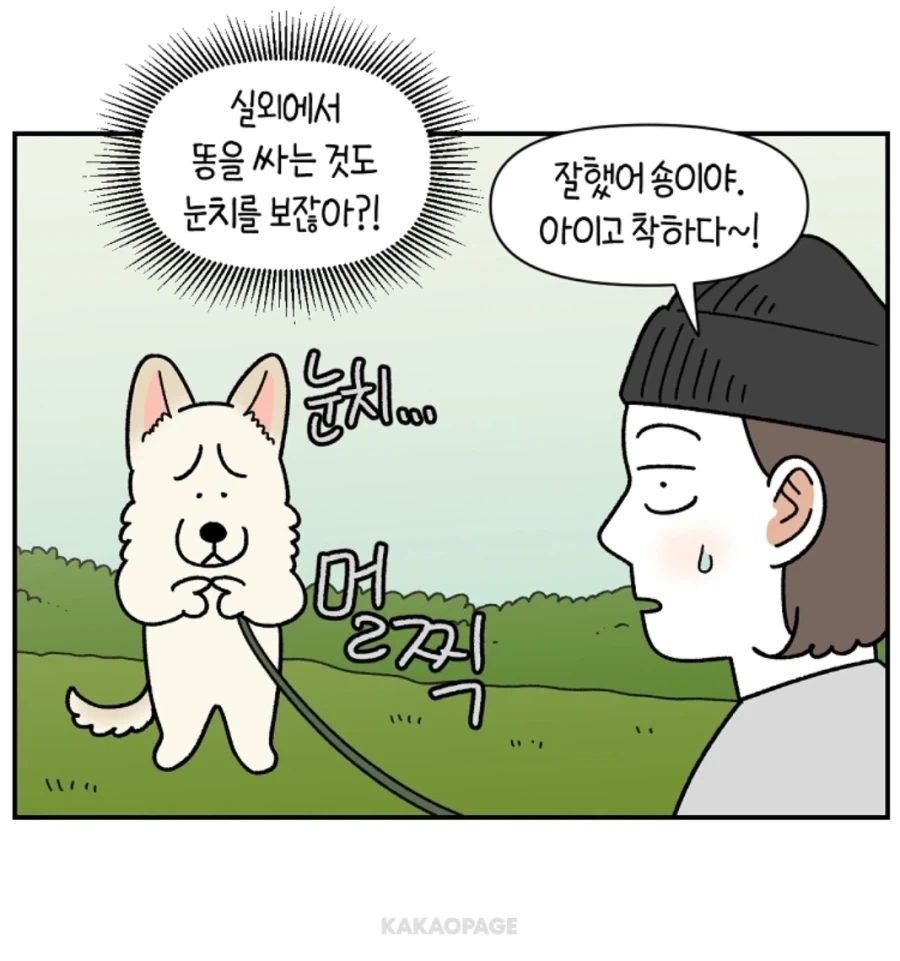 배변훈련이 안된 성견에게 가르치는 법_3.webp