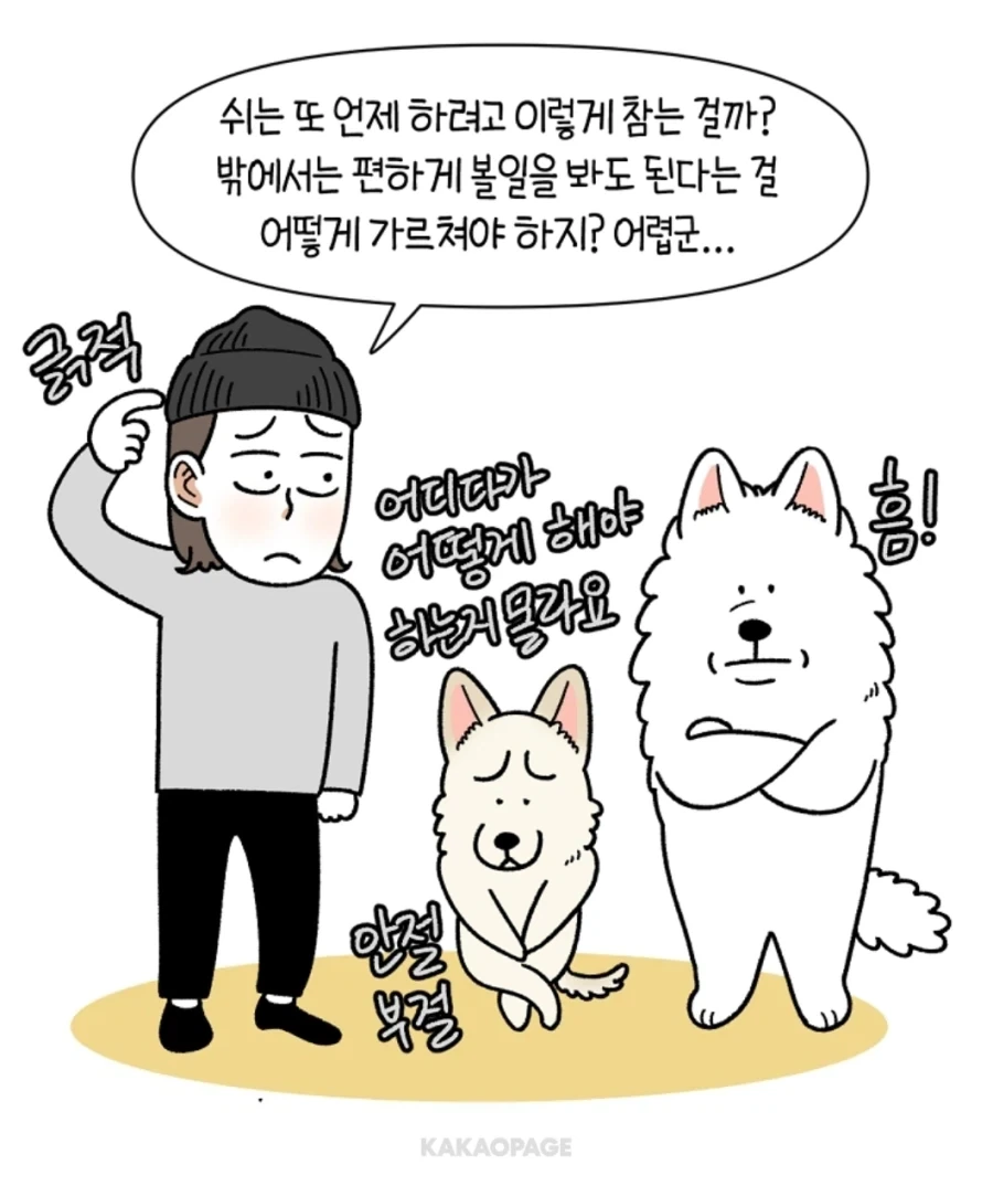 배변훈련이 안된 성견에게 가르치는 법_4.webp