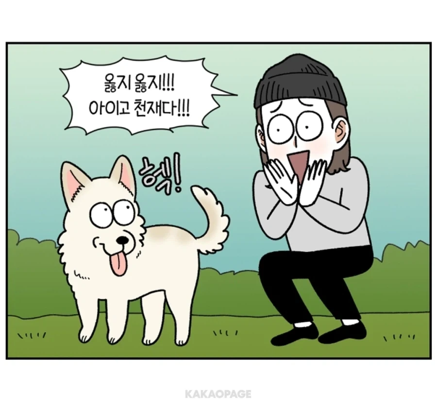 배변훈련이 안된 성견에게 가르치는 법_10.webp
