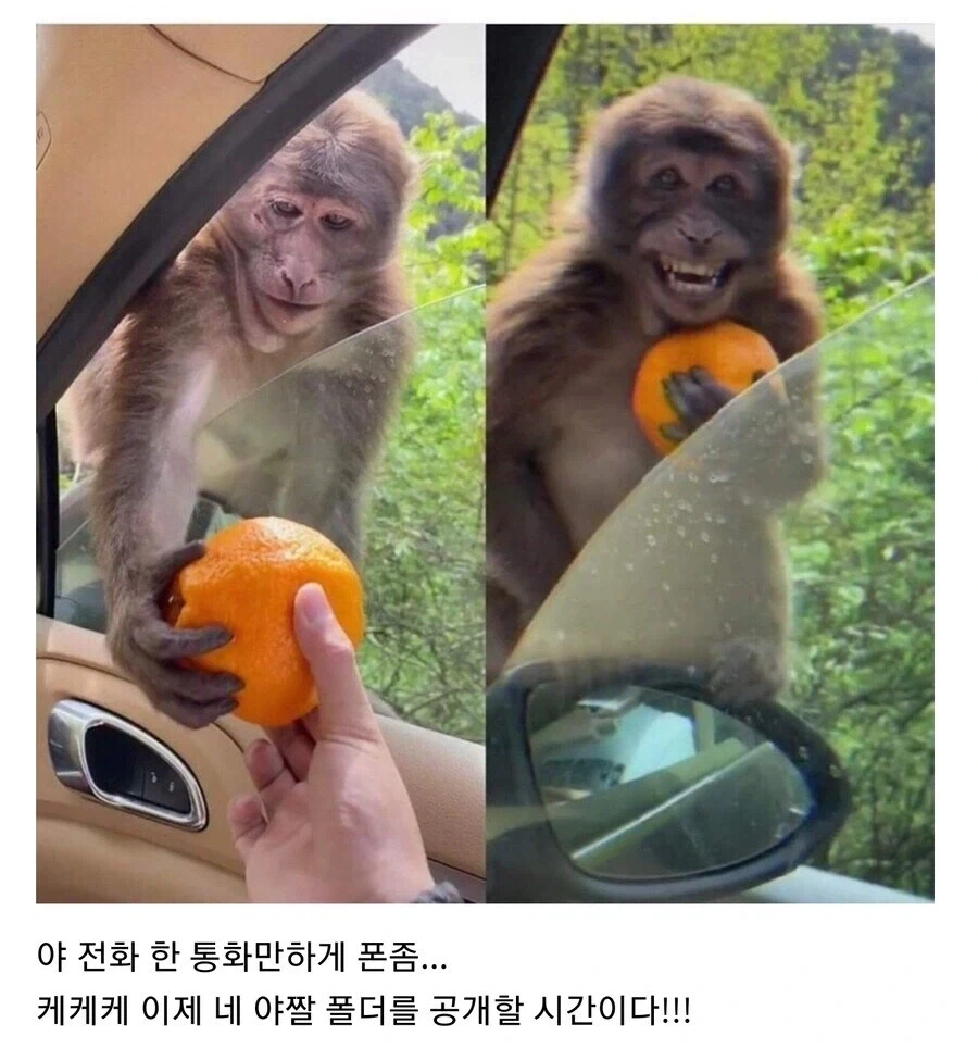 휴대폰 잠깐 빌려줄 때 특징.jpg_1.webp
