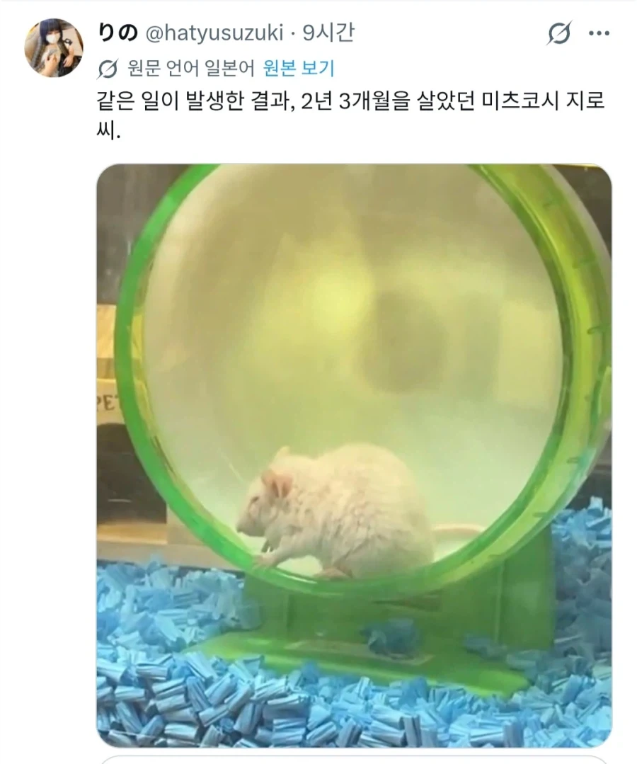 "키우는 뱀이 음식을 먹지를 않는군" 이미지 2