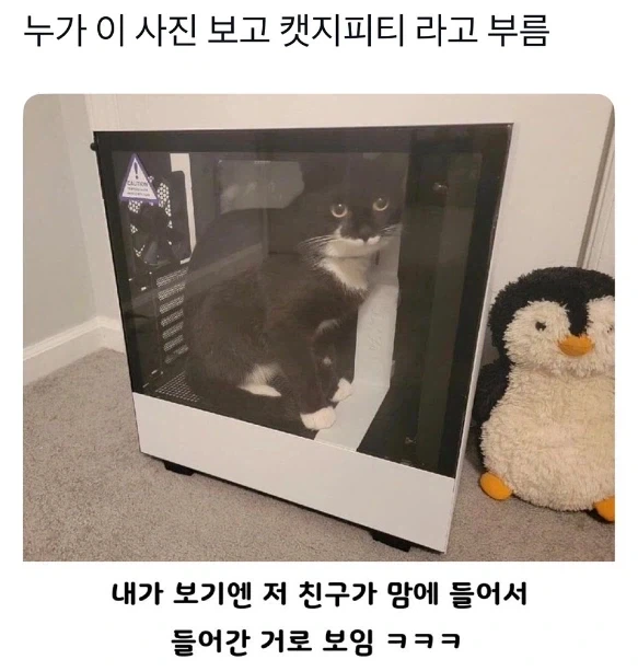 컴퓨터 중고 판매할때 고양이 키우는게 감점요소인 이유_1.webp