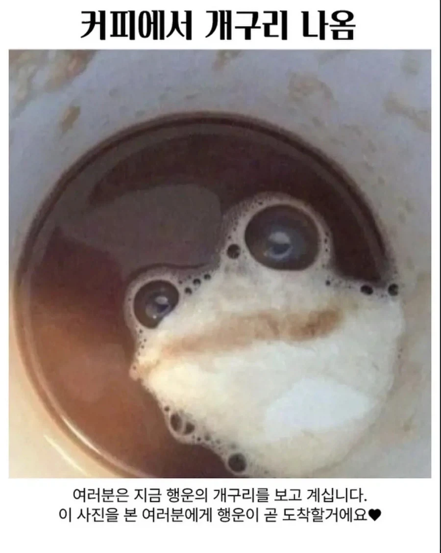 이 집 커피 진짜 개구리네_1.webp