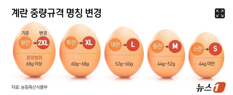 유머 1265 페이지 | TOONZIP 이미지 12