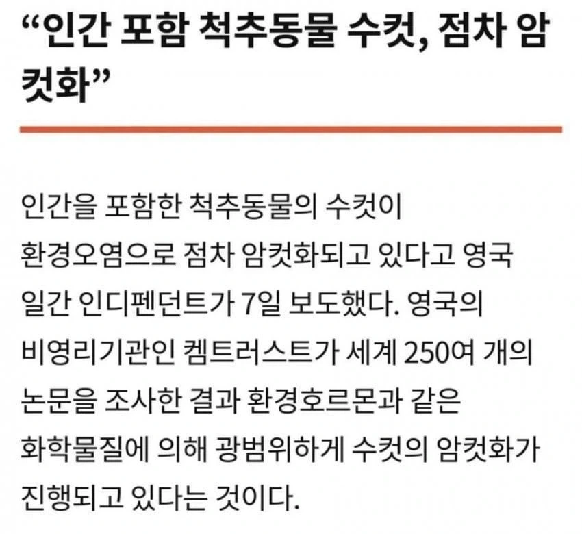 유머 1255 페이지 | TOONZIP 이미지 20
