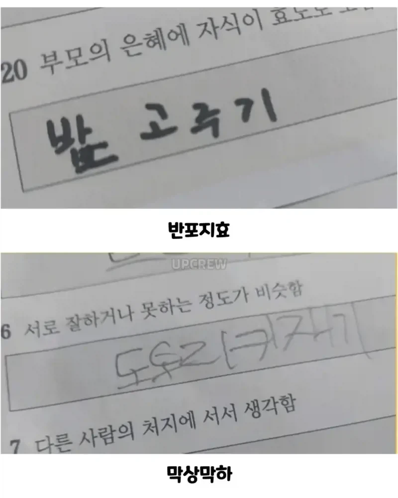 사자성어 시험본 애기들ㅋㅋㅋ_2.webp