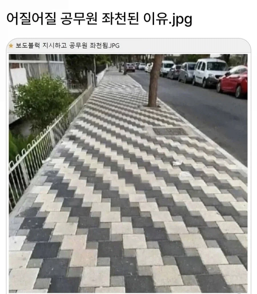 유머 1260 페이지 | TOONZIP 이미지 7