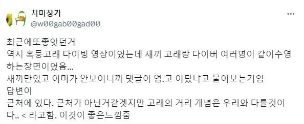 유머 1258 페이지 | TOONZIP 이미지 20