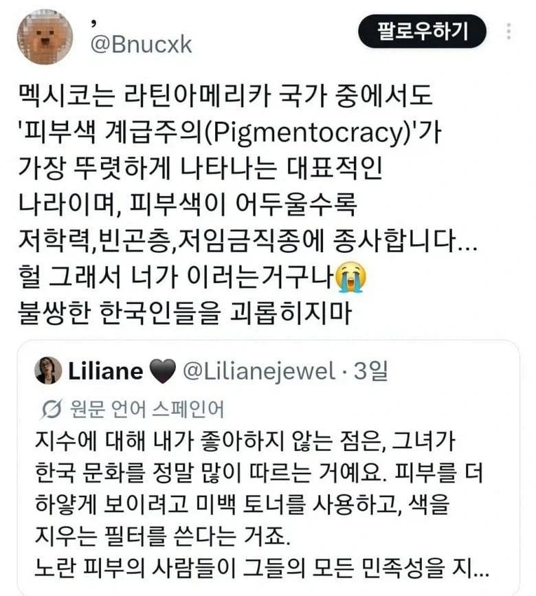 한국인에게 스트레스 받는 멕시코녀.twt_4.webp