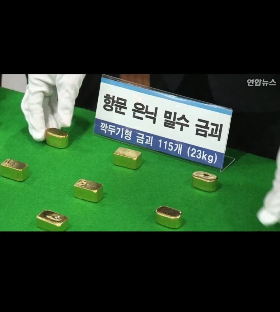 유머 1225 페이지 | TOONZIP 이미지 14