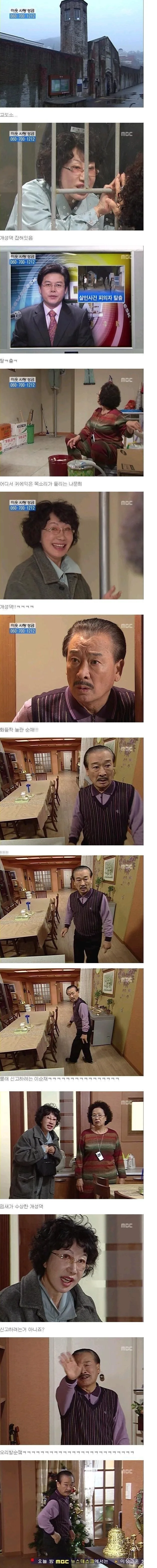 유머 1229 페이지 | TOONZIP 이미지 20